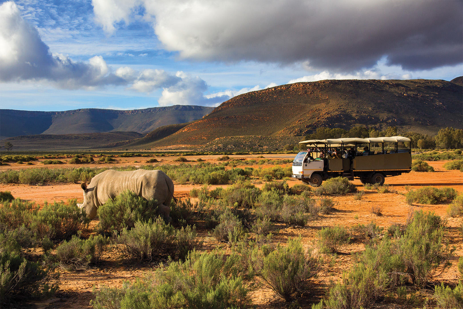 A rhino and a truck in the Western Cape, South Africa